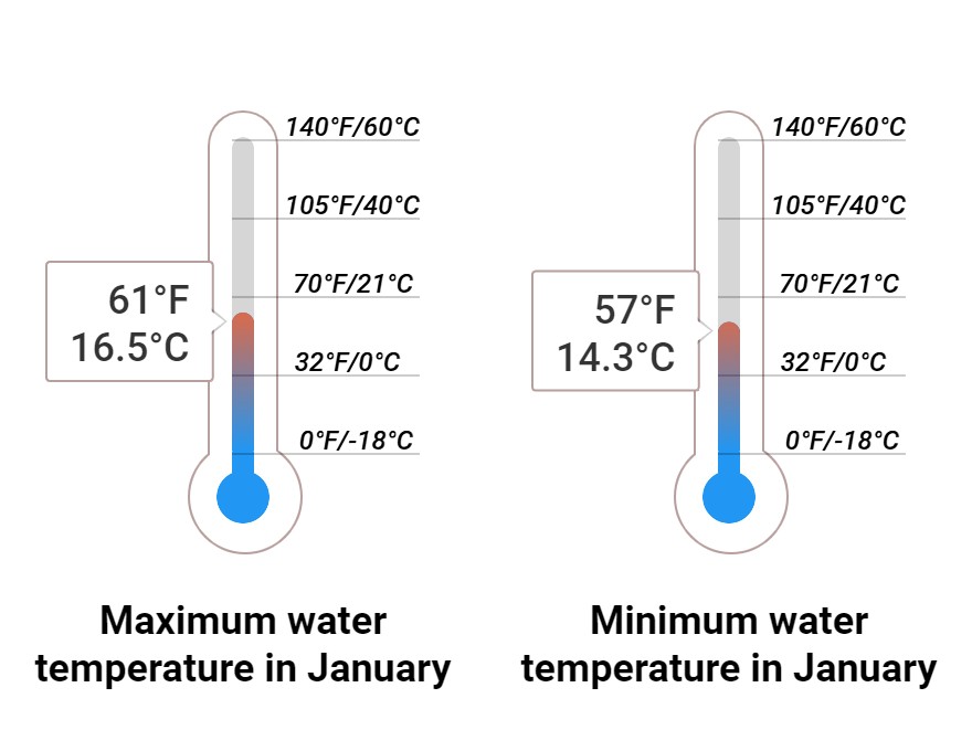 Average Sea temperature